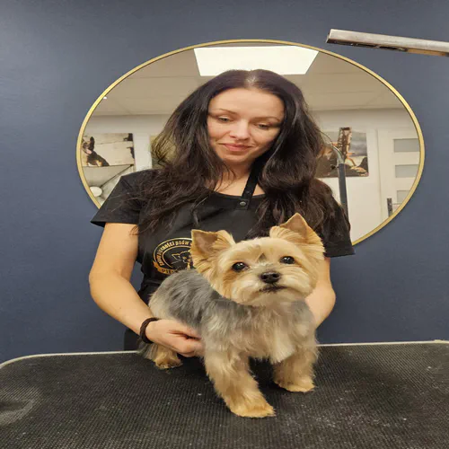 Dog Grooming near Cupar, Fife