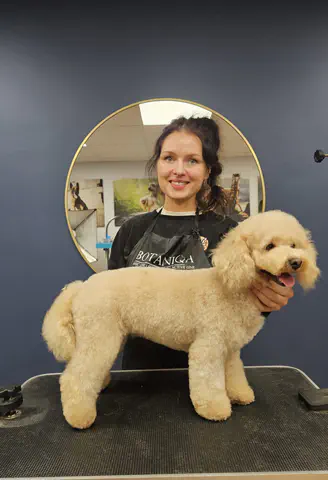 Groomed dog at Dog Paradise in Dunshalt – gallery photo 6