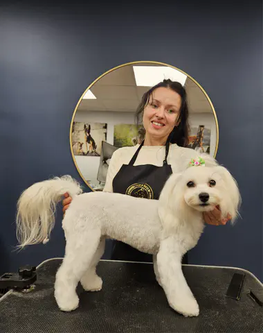Groomed dog at Dog Paradise in Dunshalt – gallery photo 8