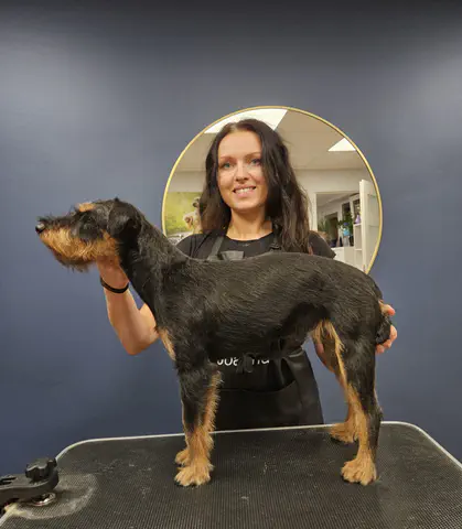 Groomed dog at Dog Paradise in Dunshalt – gallery photo 9