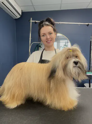 Groomed dog at Dog Paradise in Dunshalt – gallery photo 13