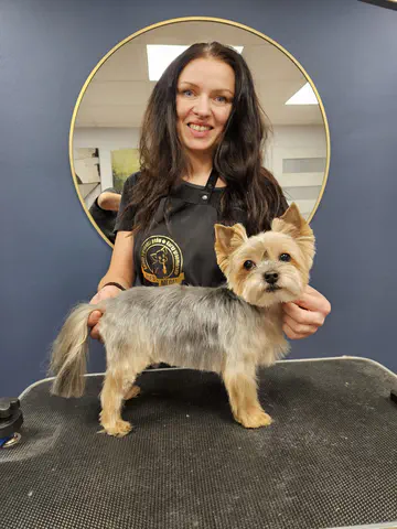 Groomed dog at Dog Paradise in Dunshalt – gallery photo 16