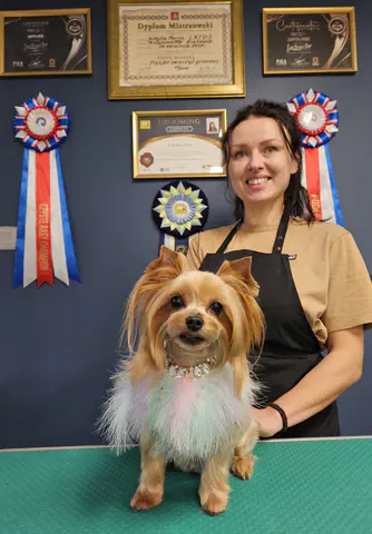 Groomed dog at Dog Paradise in Dunshalt – gallery photo 17