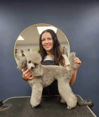Groomed dog at Dog Paradise in Dunshalt – gallery photo 18