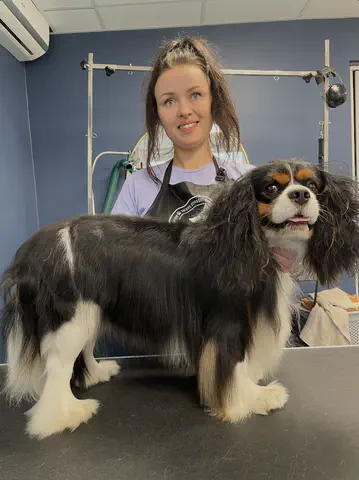 Groomed dog at Dog Paradise in Dunshalt – gallery photo 12